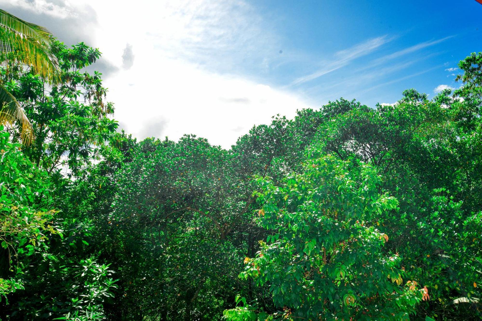 Villa Methsandi Unawatuna Buitenkant foto