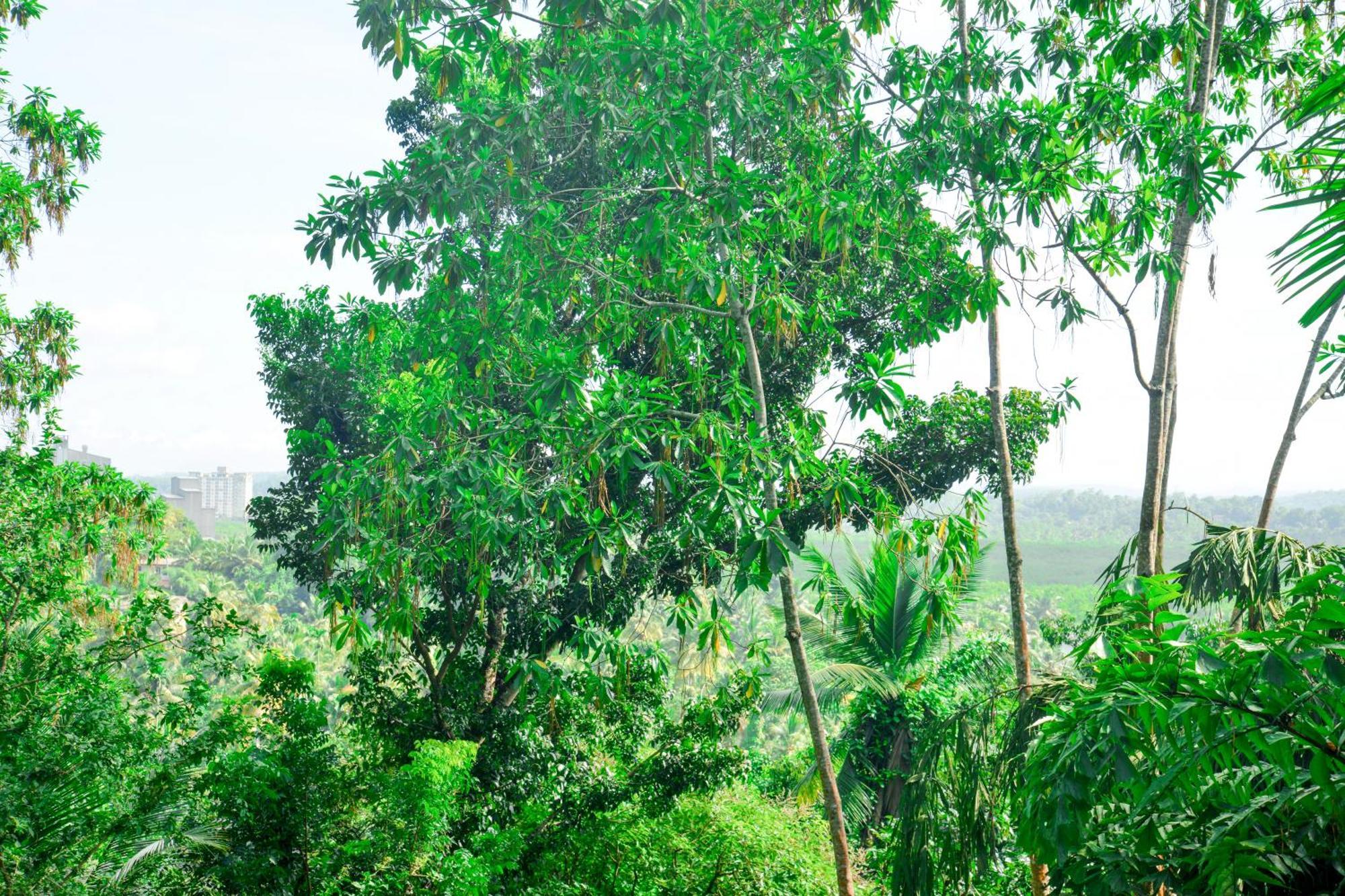 Villa Methsandi Unawatuna Buitenkant foto